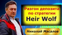 indikator-razvorota-ceny-heir-wolf-tf-dlya-foreks-i-bo