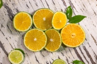 kompaniya-lime