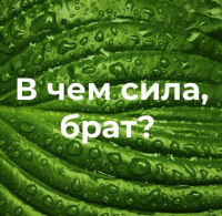 nuzhny-dengi-poznakomsya-s-vozmozhnostyami-kompanii-magic-lime-academy